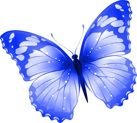 Бабочка на прозрачном фоне