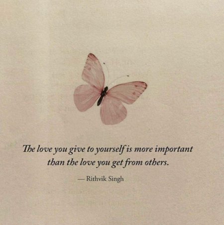 Бабочки на белом фоне Эстетика