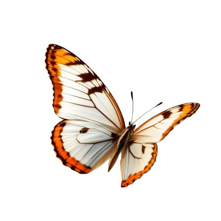 Белая бабочка на прозрачном фоне