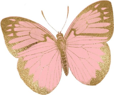 Бабочка из бумаги Unsplash