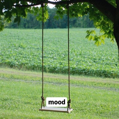 Качели на дереве