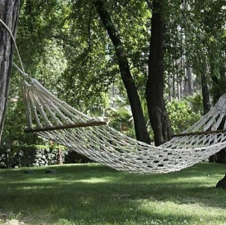 Гамак между деревьями