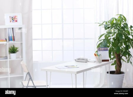 Офисные растения