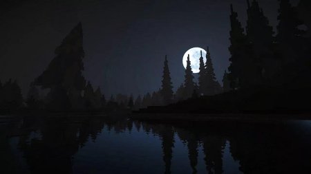 Тёмный лес Minecraft