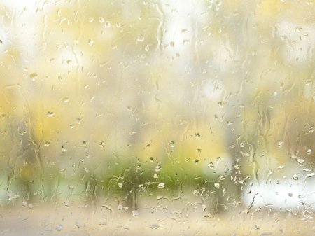 Светлый фон