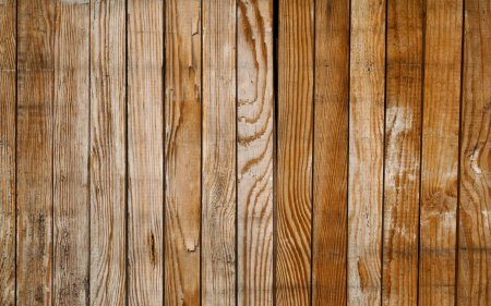 Текстура дерева