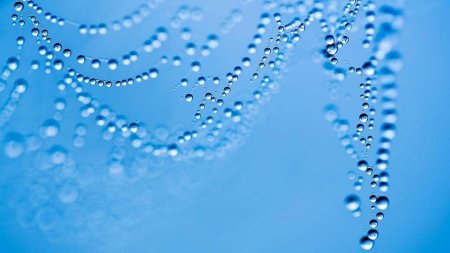 Фон с каплями воды