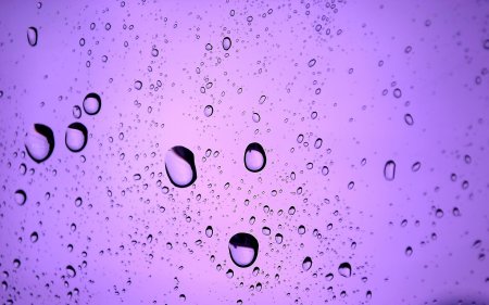Фиолетовые капли