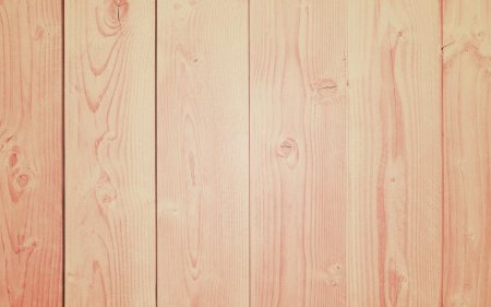 Текстура белого дерева