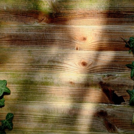 Фон под дерево