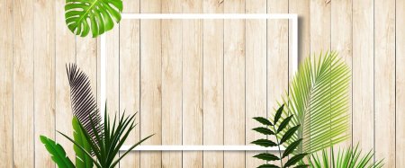 Фон листья пальмы