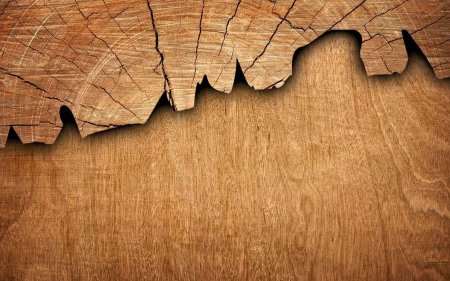 Wood cracks