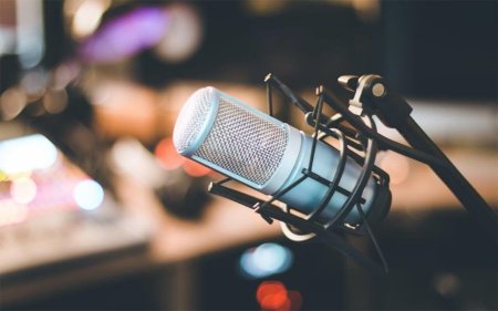 Честер студийный микрофон