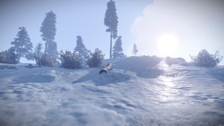 Раст зимний хазмат