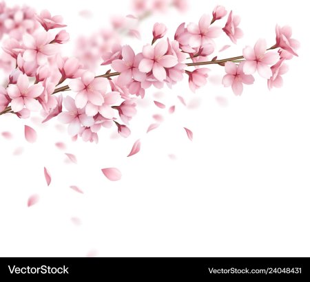 Лепесток Сакуры