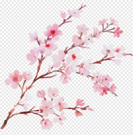 Сакура для фотошопа на прозрачном фоне