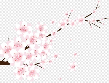 Ветвь Сакуры