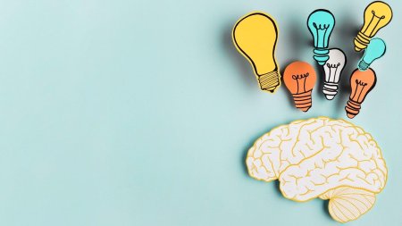 Лампочка мозг