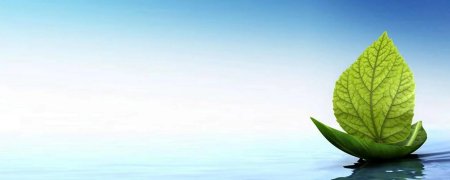 Экологический фон