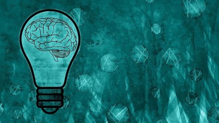 Мозг Минимализм