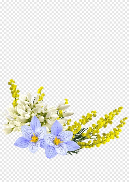 Весенние цветы на прозрачном фоне