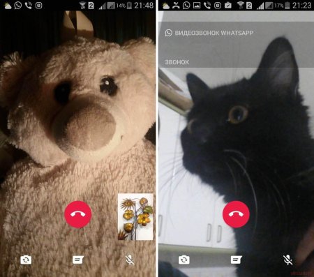 Звонок на ватсап