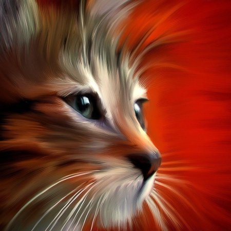 Красивые кошки