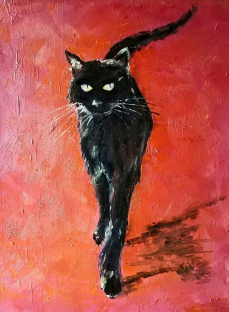 Чёрный кот