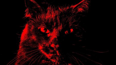 Чёрный кот с крвсными глазами
