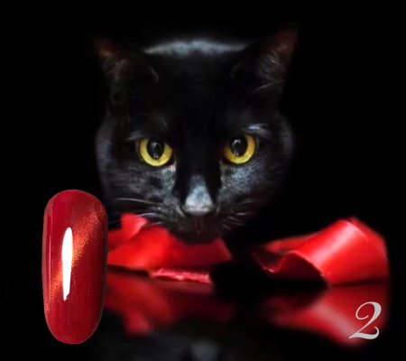 Кошка черная