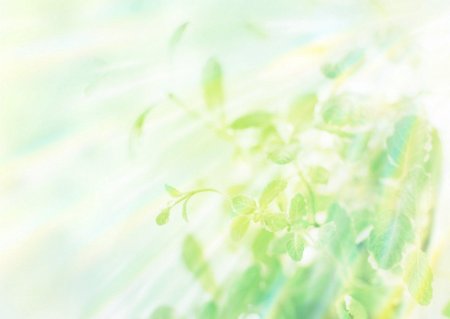 Фон зеленый нежный