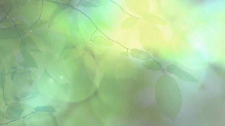 Светлые фоны