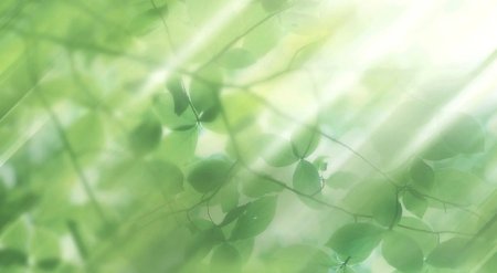 Красивый зеленый фон