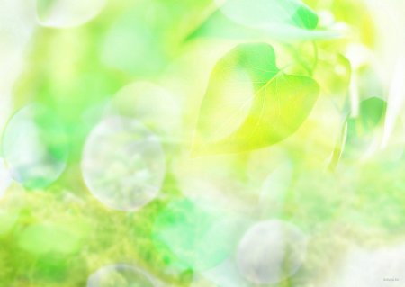 Фон нежно зеленый