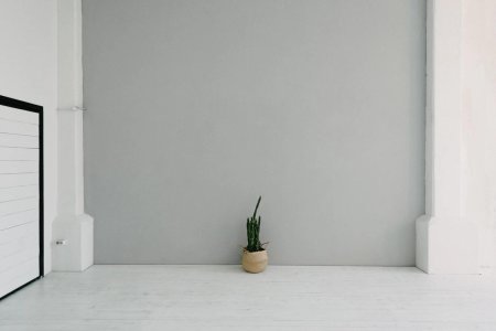 Фотостудия белая стена