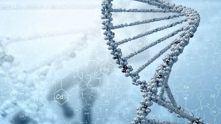 Молекула ДНК