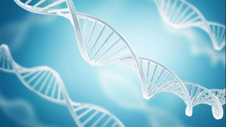 Фон генетика