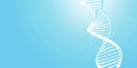 Днк фон для презентации