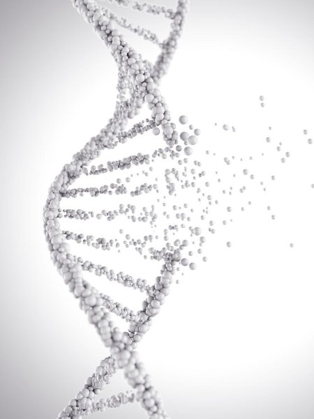 Спирали днк