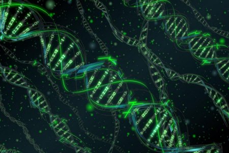 Фон генетика