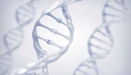 Спираль ДНК