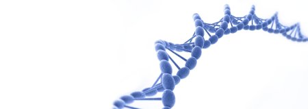 Днк человека