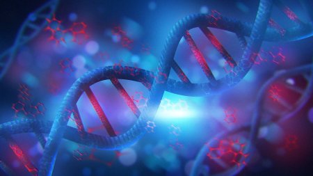 Днк спираль