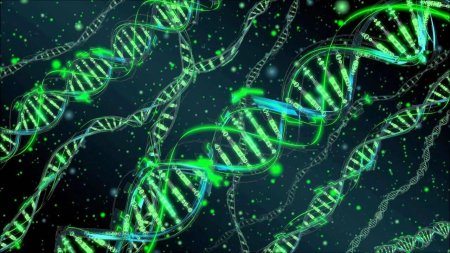 ДНК паттерн