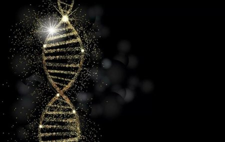 Днк спираль