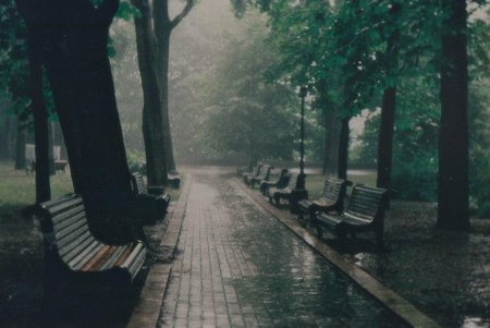 Скамейка под дождем