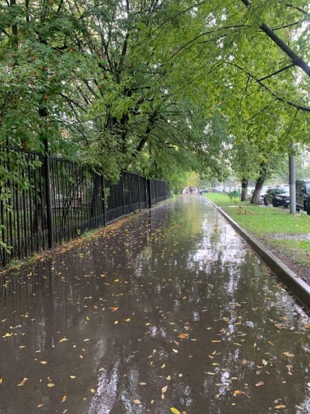 Дождливая осень