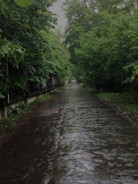 Сильные дожди