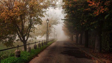 Туманная аллея Англия