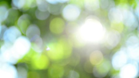 Фон боке